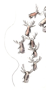 The reindeer herd