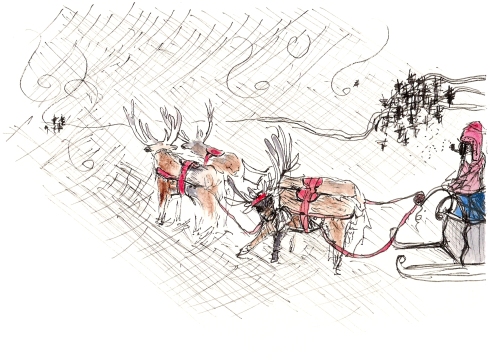 A sleigh ride